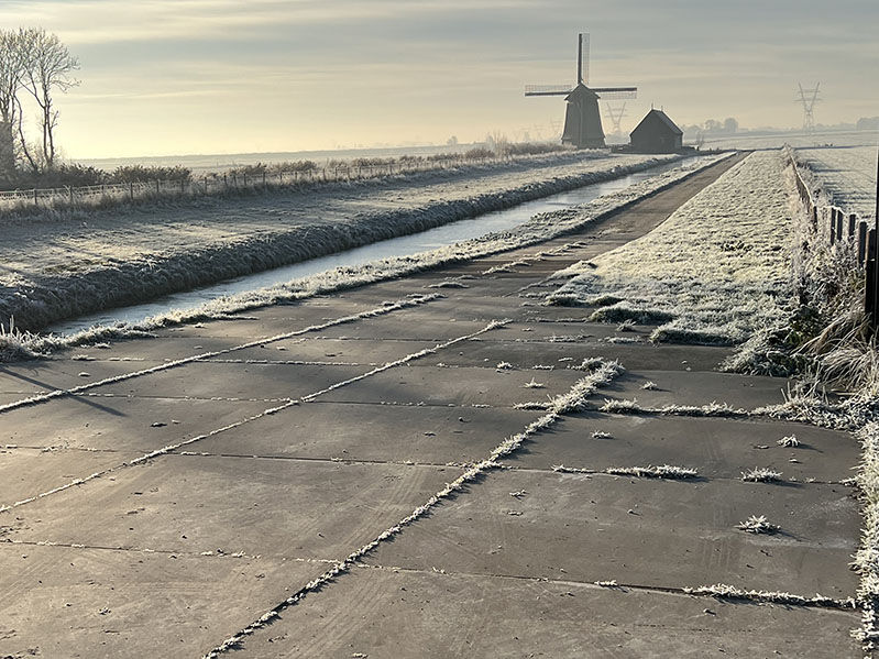 Weg van betonplaten die door een weiland naar een boerderij leidt, voor een duurzame en stabiele toegangsroute op agrarisch terrein